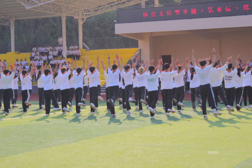 图片 102.png